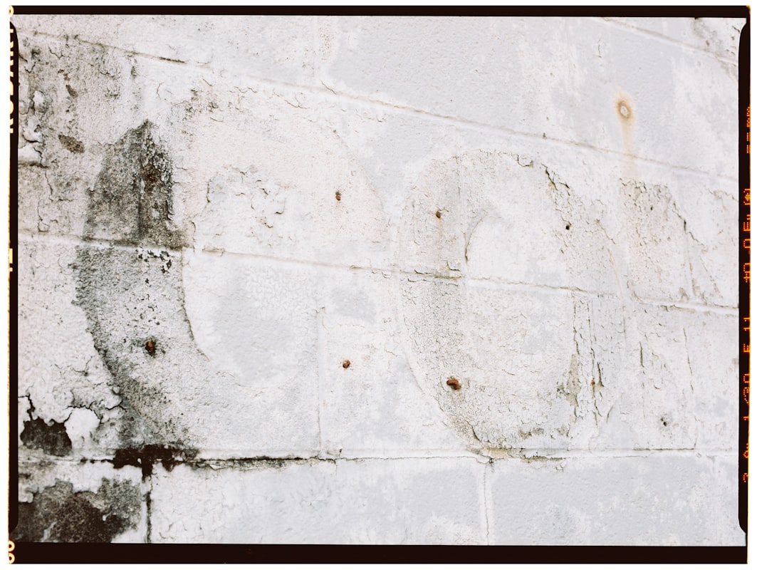 Basement Water Removal service in Greenwood, IN