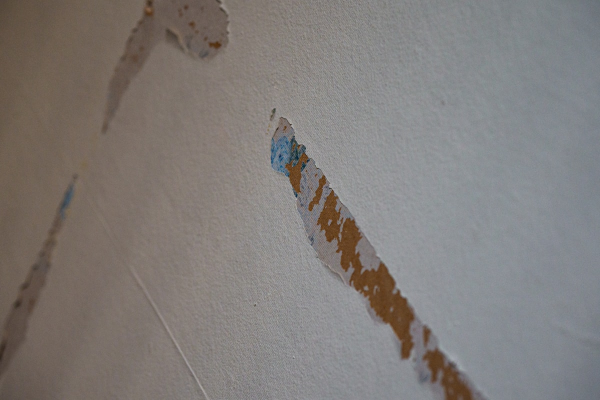 Commercial Water Damage service in Greenwood, IN